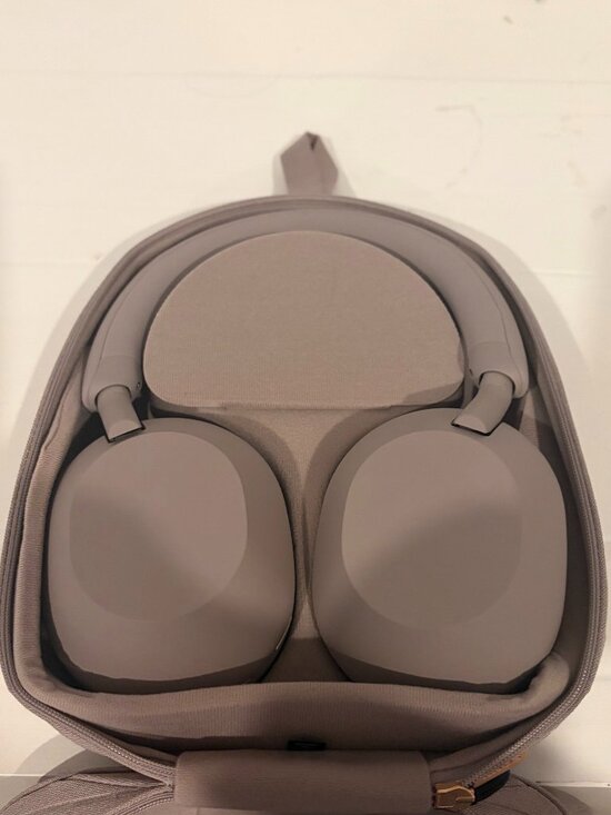 Sony Other - Sony WH-1000XM5 Smokey Pink